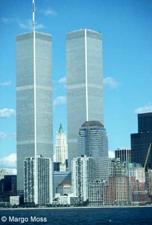 243